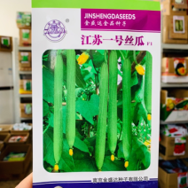 江苏一号丝瓜杂交种子早熟皮薄耐低温特长香丝瓜种子