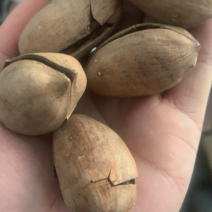 碧根果
