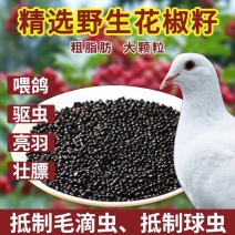 花椒籽鸽用鸽粮驱虫亮羽增膘健体信鸽赛鸽肉鸽花椒籽包邮