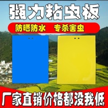 （买百送十）双面黄板果园专用蓝板贴蓟马白粉虱诱虫板粘飞虫