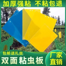 （买百送十）双面黄板果园专用蓝板贴蓟马白粉虱诱虫板粘飞虫
