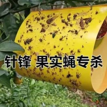 （买百送十）双面黄板果园专用蓝板贴蓟马白粉虱诱虫板粘飞虫