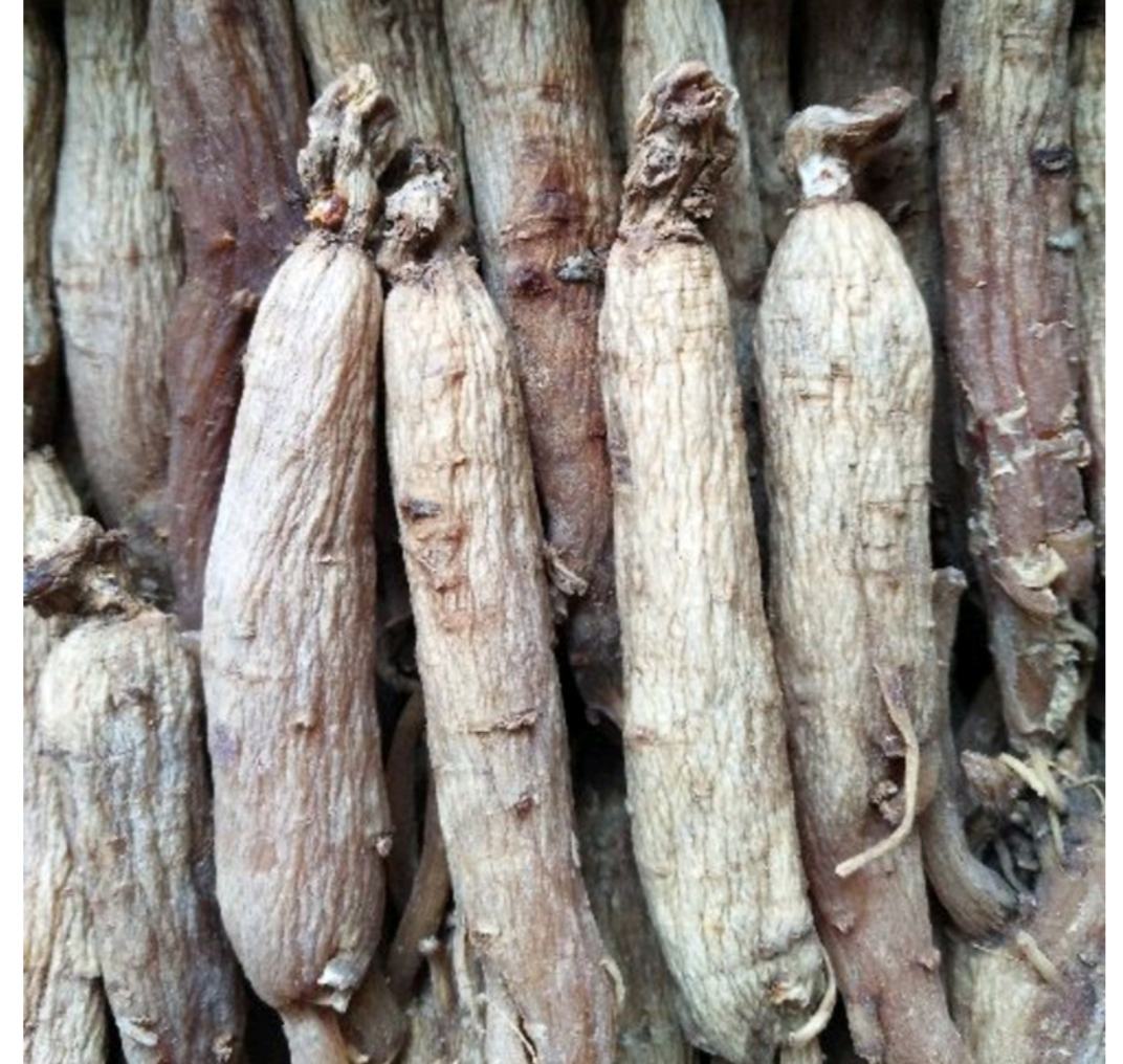 高清近景拍摄的一束干燥红参须,呈黄褐色,表面有细密皱纹,须条清晰分明,背景为木质砧板,体现天然食材质感 参须实物特写