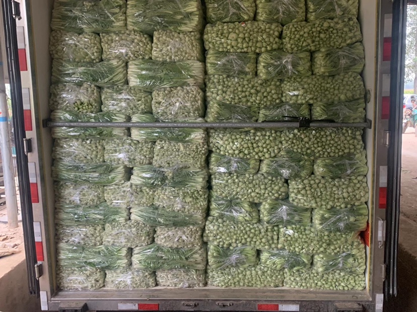 包菜在冷链运输车中