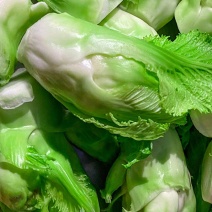 大头菜儿菜