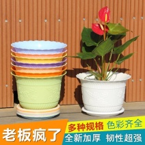 莲花碗塑料花盆大号厂家清仓批发零售莲水培土培盆桌盆栽绿