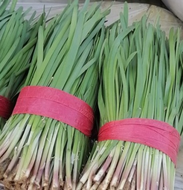 [紫根红韭菜批发]韭菜价格5.00元/斤 - 一亩田