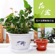 特大号塑料花盆厂家直销特价清仓零售批发绿植绿萝养花盆居家