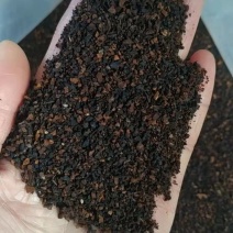 【超实惠！桦树茸黑小颗粒】桦树茸桦褐孔菌桦树泪