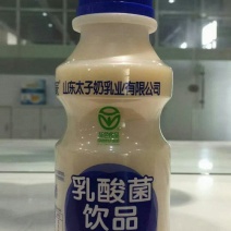 含蛋白0.7太子奶乳酸菌特价出最新日期