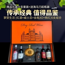 法国进口红酒礼盒装酒水批发整箱洋酒组合套装酒类年货送礼高