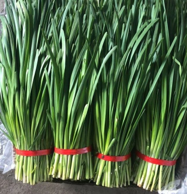 精品头刀二刀一年四季都有韭菜韭菜花韭苔