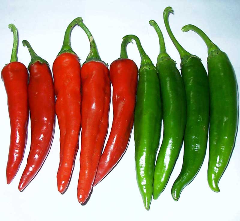 一张对比图展示三类辣椒:左侧为细长鲜红的小红椒,中间为粗壮饱满的甜红椒,右侧为彩色的彩椒,背景为白色厨房台面,突出形状、颜色和大小差异 小红椒与大红椒对比图
