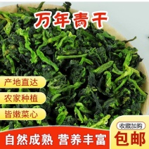 万年小青菜干新货脱水菜心蔬菜芯鲜嫩特产农家自制脱水蔬菜干
