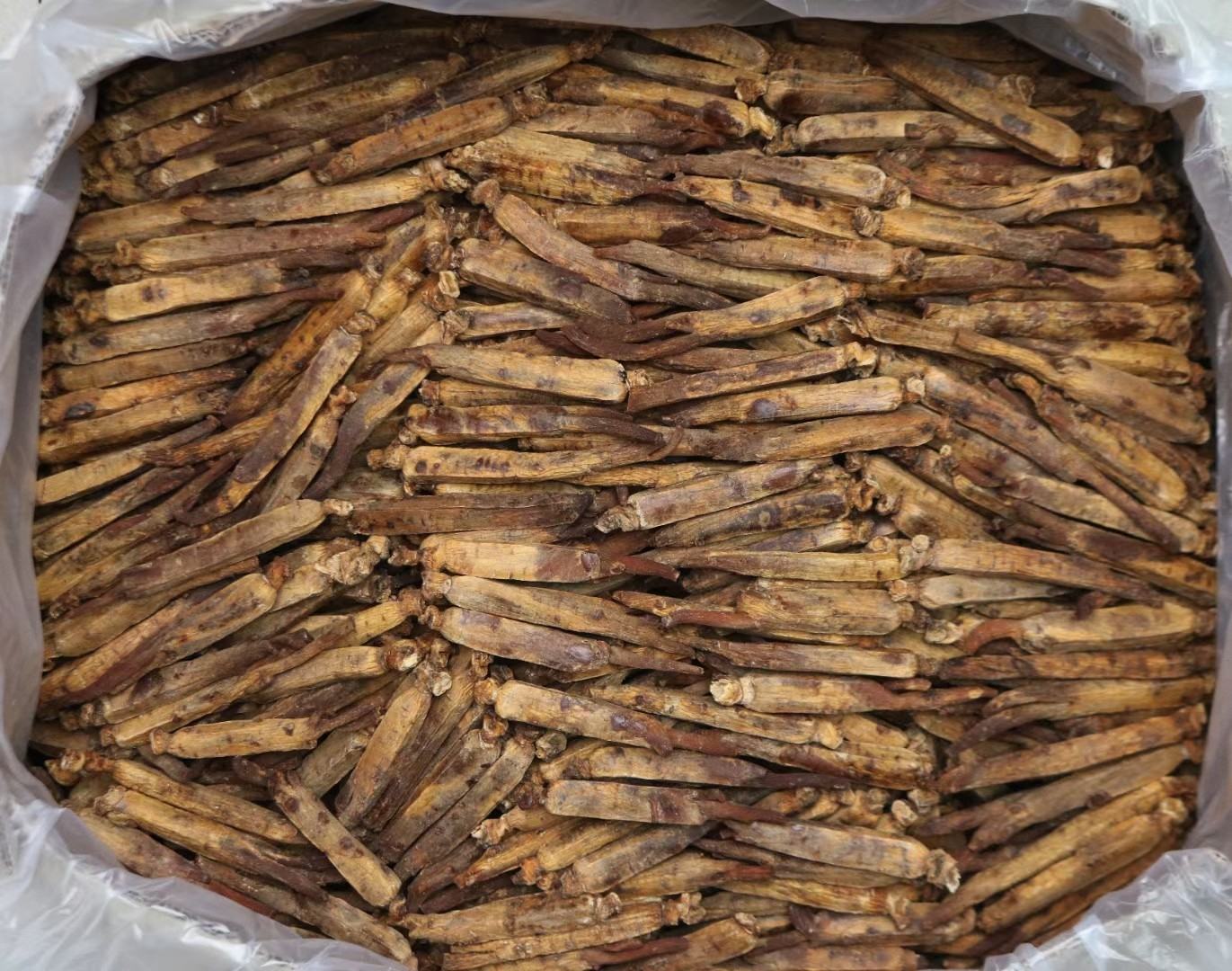 高丽参不同保存方式对比图