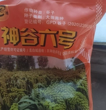 [谷子批发]神谷系列,,谷子价格2.60元/斤 - 一亩田