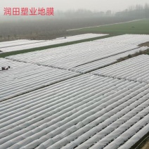 白地膜黑地膜小拱棚膜农用蔬菜大棚育秧膜玉米花生专用膜