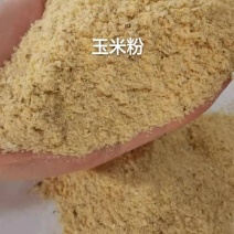 玉米粉，指标可以代替40%玉米。节省成本。