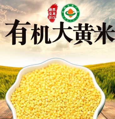 北纬49东北有机大黄米糯黄米2021年新米豆包黄米糜子米