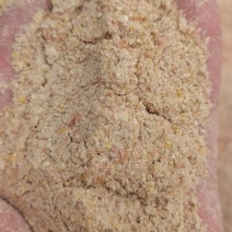 玉米次粉大型食品厂下料，营养丰富代替玉米使用