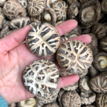 西峡花菇新货产地发货，常年供应香菇干货，肉厚冬菇