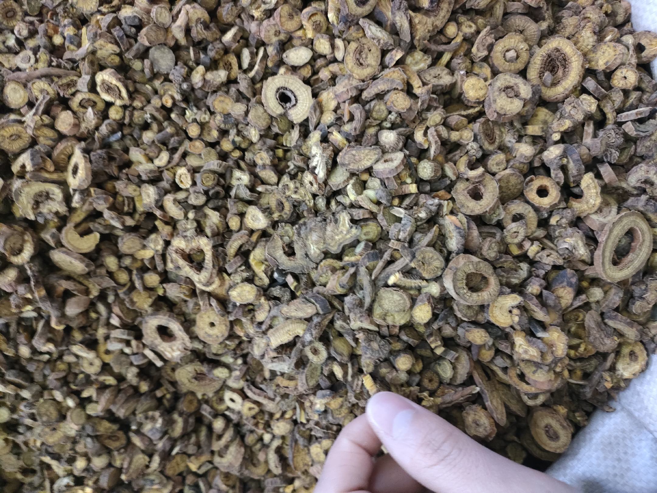 中药房中的黄芩饮片