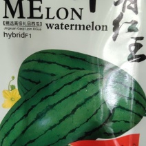 早春红玉种子