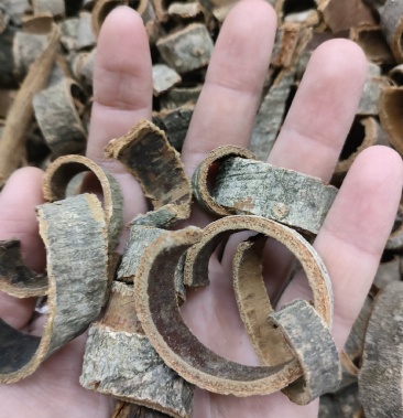 厚朴正品川厚朴刮皮厚朴足斤足量纯无硫