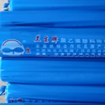 精品兰生地膜、规格齐全