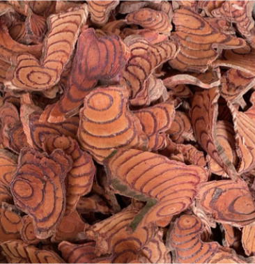 野生鸡血藤三叶鸡血藤血藤新鲜干货