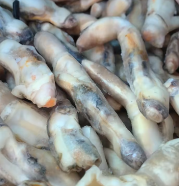 [海蛏批发]蛏王肉去沙嘴蛏王肉 海蛏蛏子肉刀把蛏子江苏海鲜水产圣子