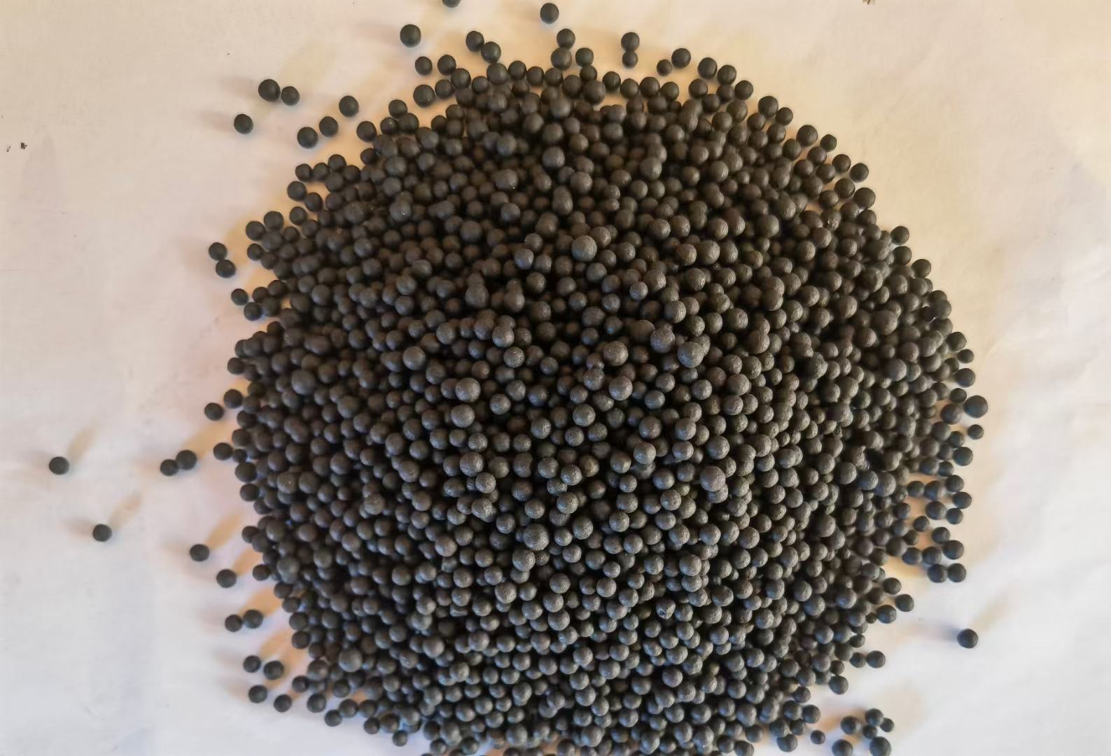 非转基因大豆品种展示图