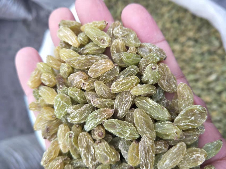 蓝莓干在烘焙中的应用