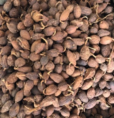 云南怒江草果云南碳烤草果脆货草果电烤无烟果