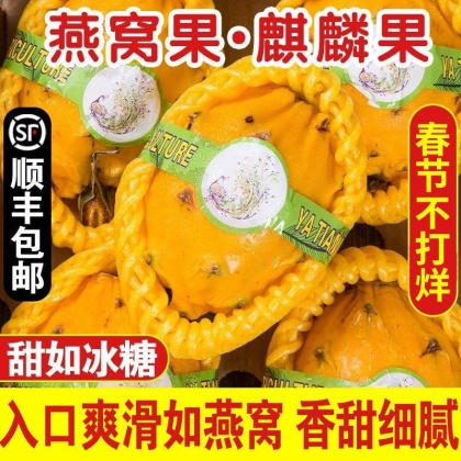 麒麟果价格行情_今日麒麟果价格多少钱一斤 _ 一亩田