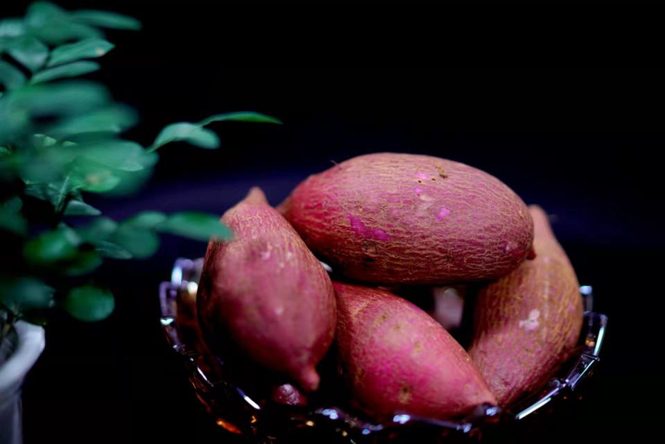 一盘刚出锅的蒜蓉清炒红薯叶特写：翠绿叶片油润饱满，散落几粒金黄蒜末，茎段脆嫩微卷，盘底略带清亮汤汁；背景虚化处可见透明玻璃罐装的红薯叶冻干粉与一小碟红薯叶茶包，呈现多元食用形态