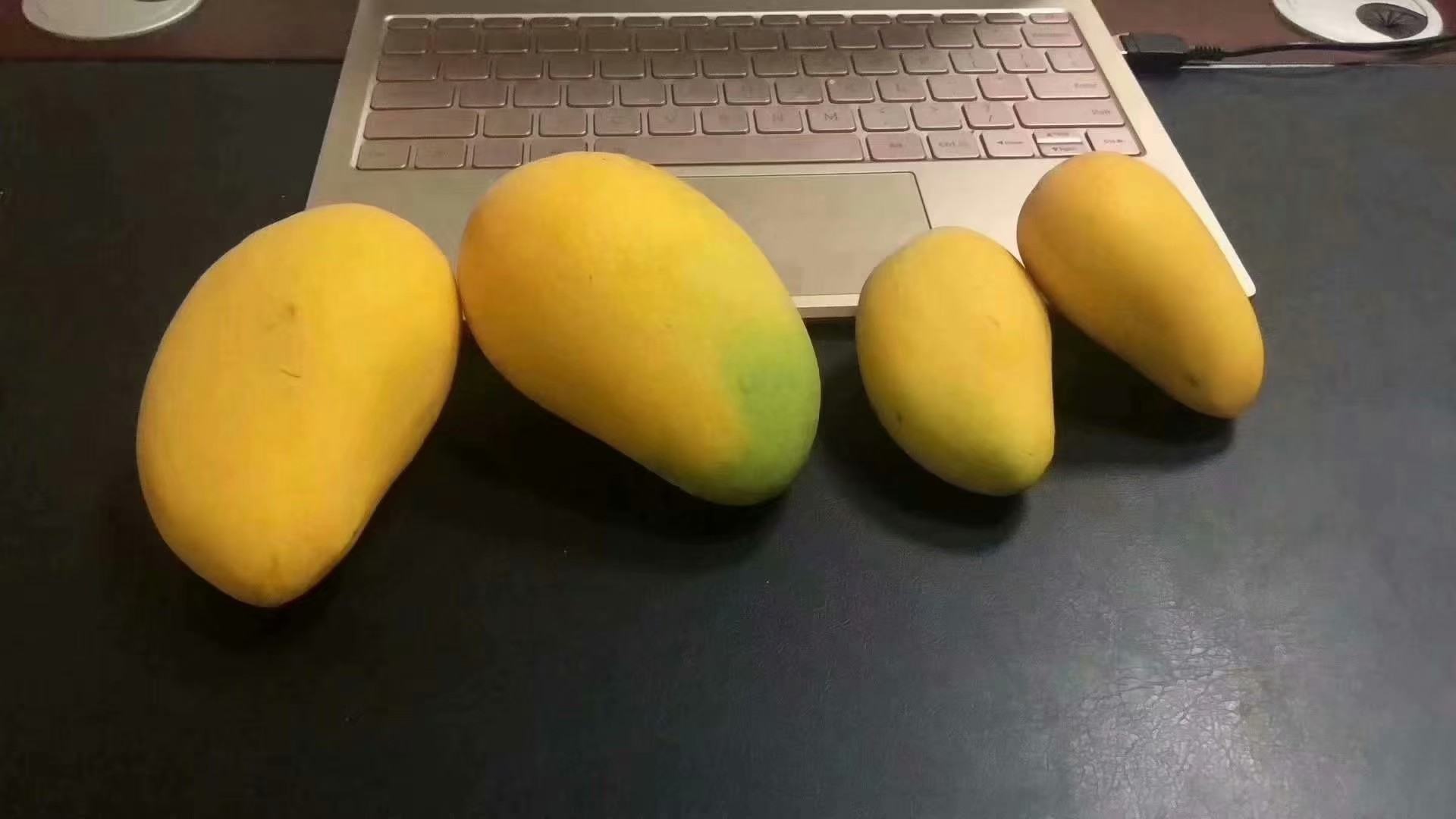 青色小台芒与成熟芒果对比图