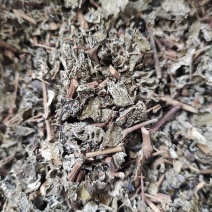 点滴园溪黄茶霉茶藤茶叶多梗少大量供货