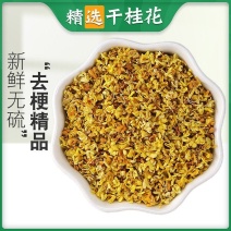 无硫桂花中药材干花可食用非特级干桂花泡茶烘焙干花