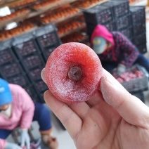 广西桂林柿饼大量优质高次一级，二级电商柿饼。市场货柿饼