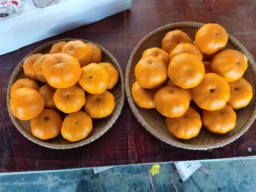 3107黑标橙子特写
