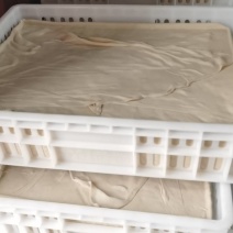 鲜豆腐