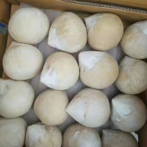 椰子现货秒发超高性价比