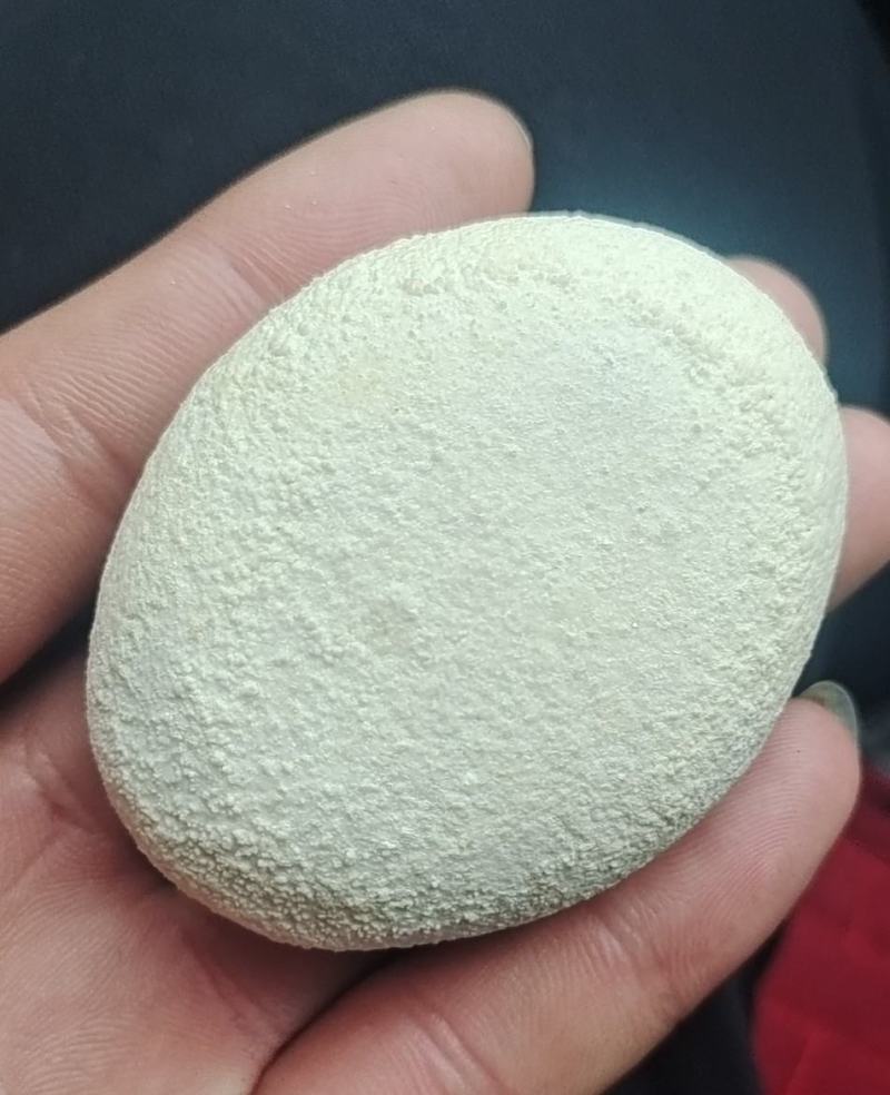 狗宝