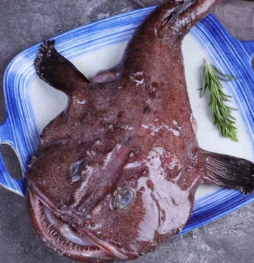 鮟鱇鱼安康鱼新鲜鮟鱇鱼海鱼无鱼刺带肝带肚灯笼鱼琵琶鱼