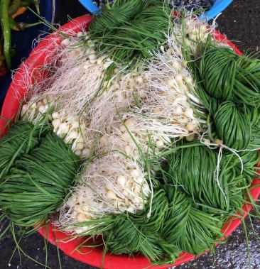 贵州新鲜现挖野葱苦蒜带叶带须野农家胡葱沙葱野菜非藠头野菜