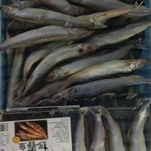 [牛]厂家直销单冻多春鱼粒粒饱满营养丰富
