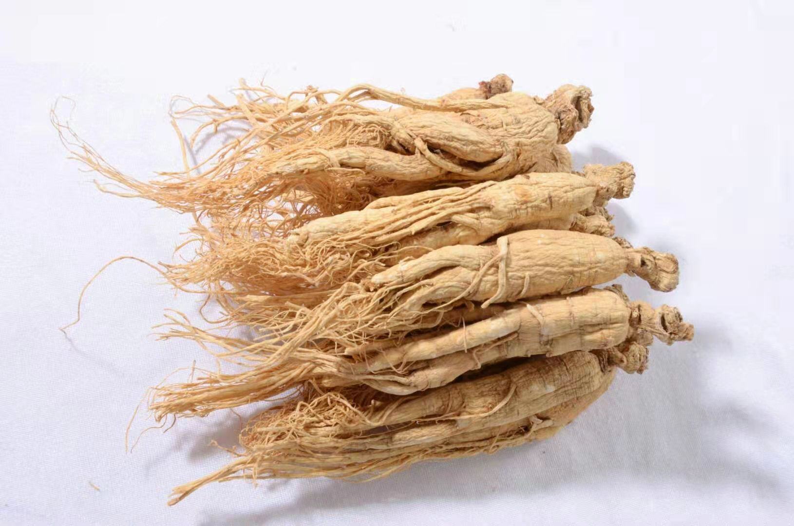 展示西洋参整根,呈淡黄色,质地坚实,表面有明显环纹 西洋参外观