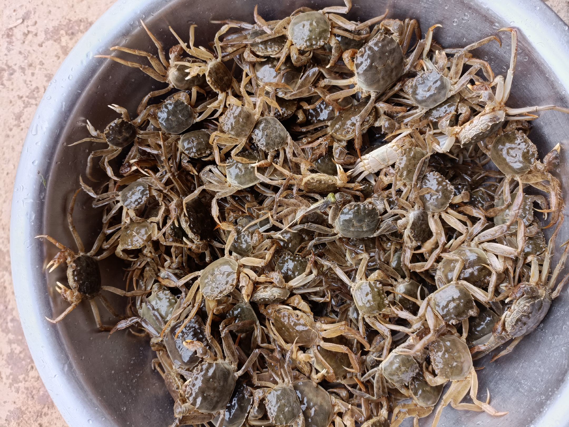 一碗热气腾腾的花蛤汤,汤色清亮,花蛤壳微张,散发诱人香气 花蛤汤成品图