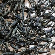 2026明前正宗春茶野生金骏眉单芽高山高香功夫茶